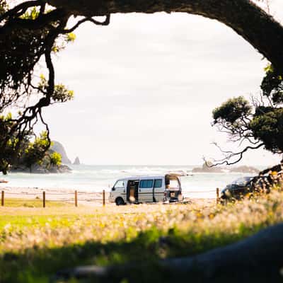 Elliot Bay Campground, New Zealand
