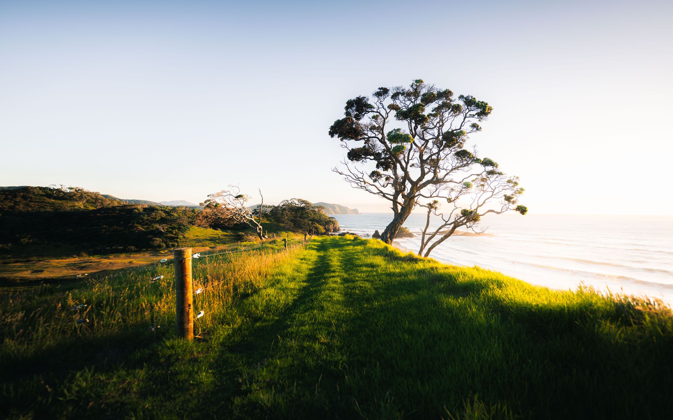 Elliot Bay, Upper Hill, New Zealand
