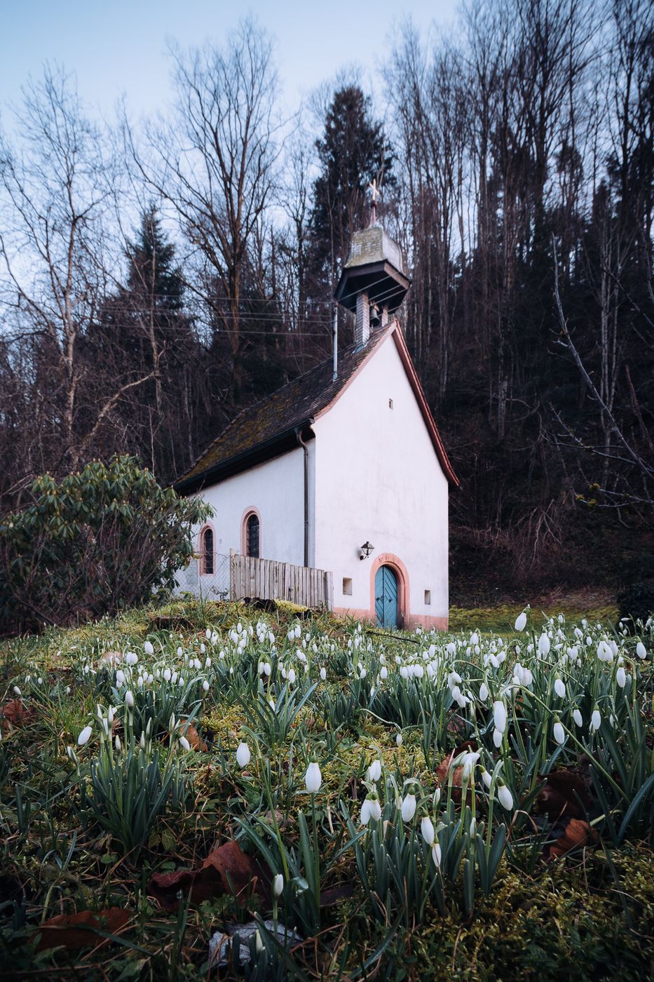 Falkenstein Church, Germany