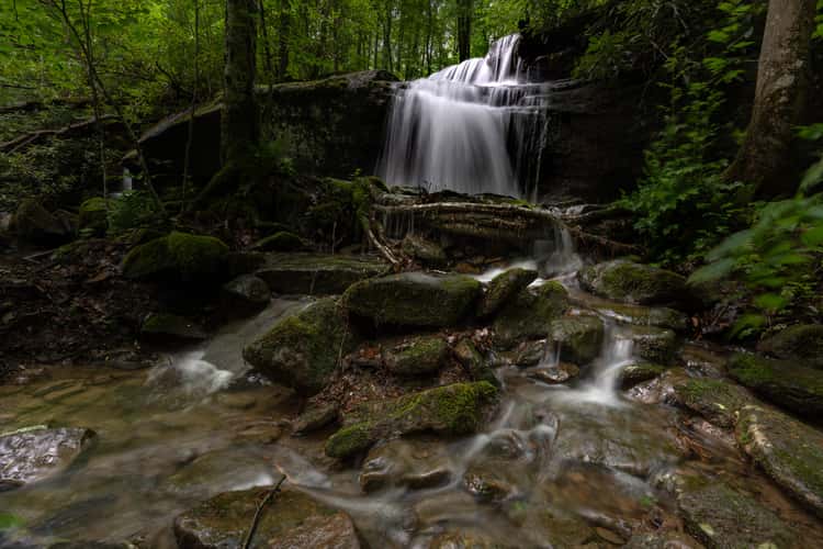 Fechter Run Falls