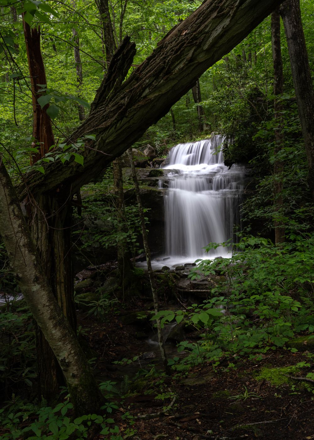 Fechter Run Falls, USA