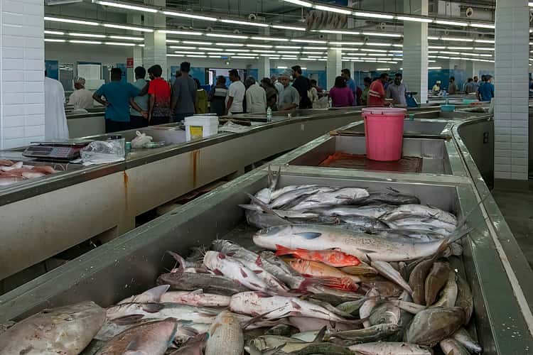Fish market