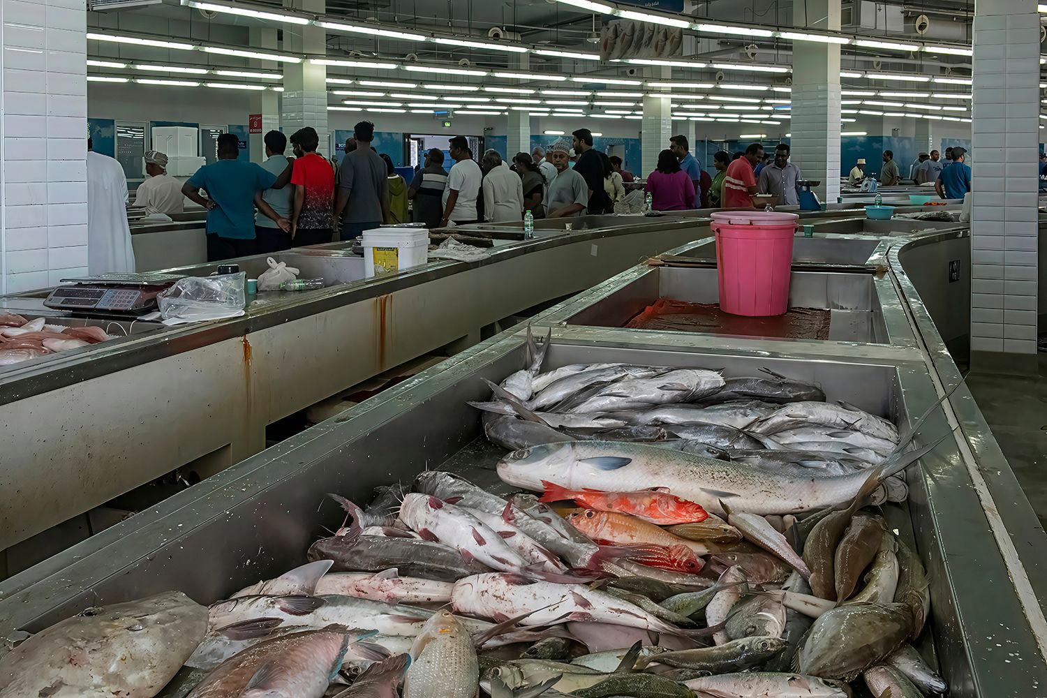 Fish market, Oman