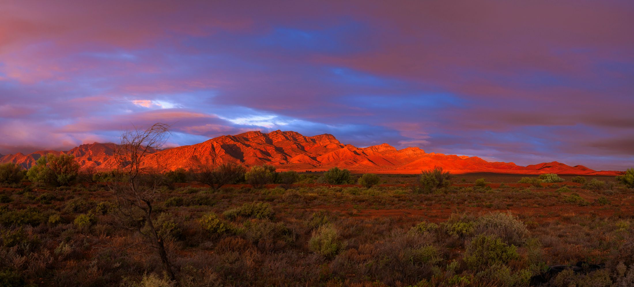 Flinders Ranges from the Outback Highway, Australia
