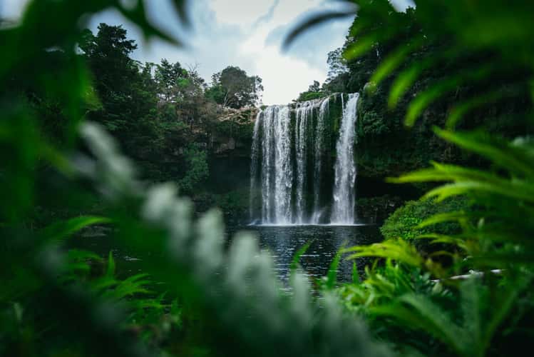 front view, Rainbow Falls, Waianiwaniwa, North Island