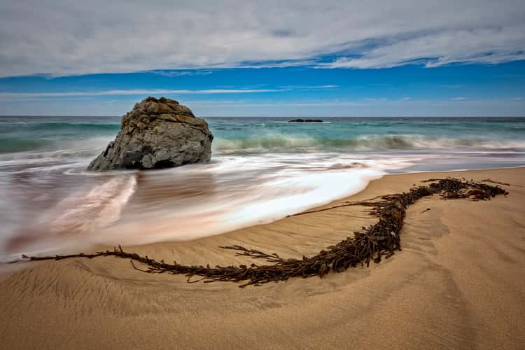 Garrapata State Park