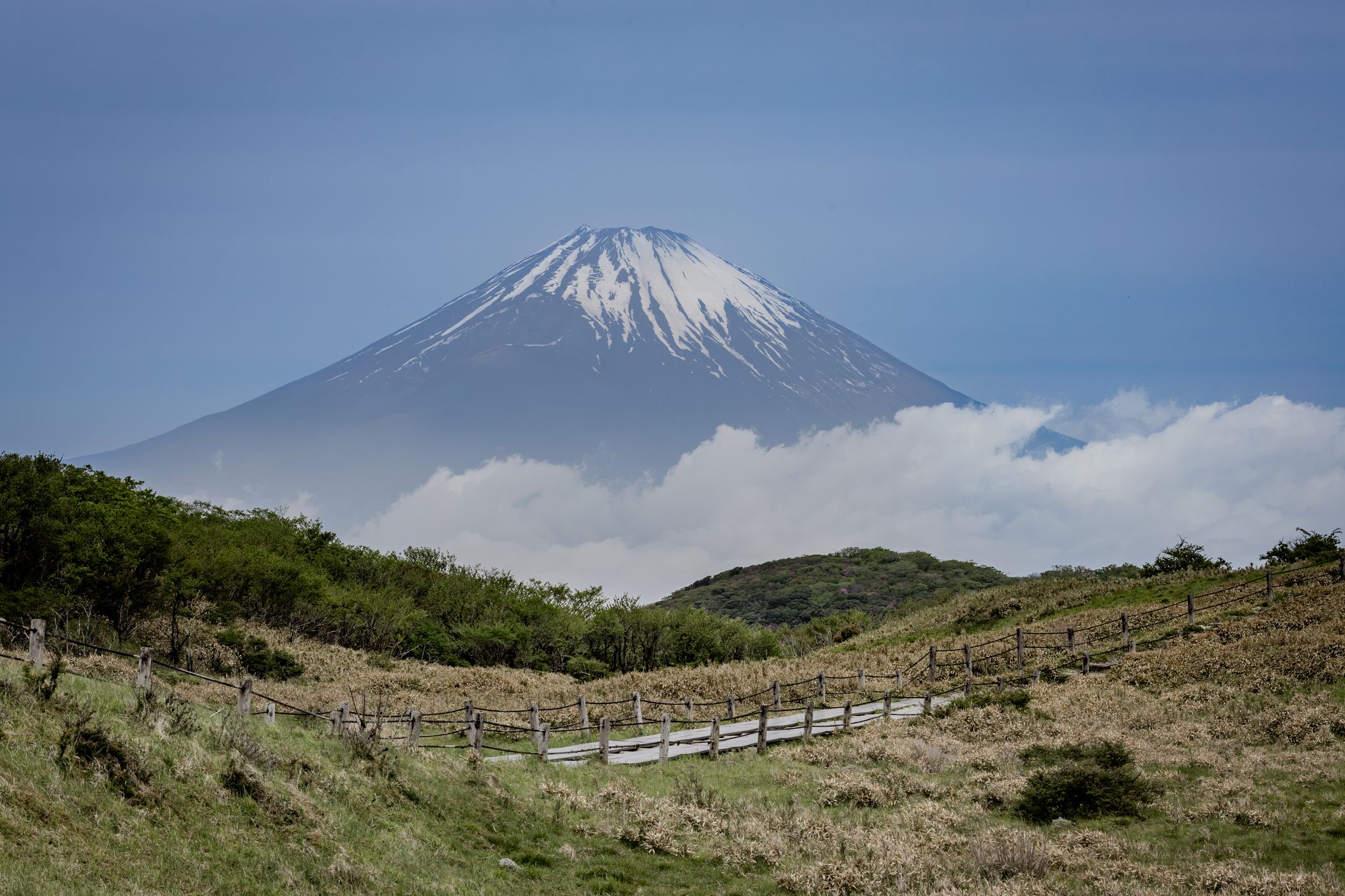 Hakone view on Mt. Fuji, Japan