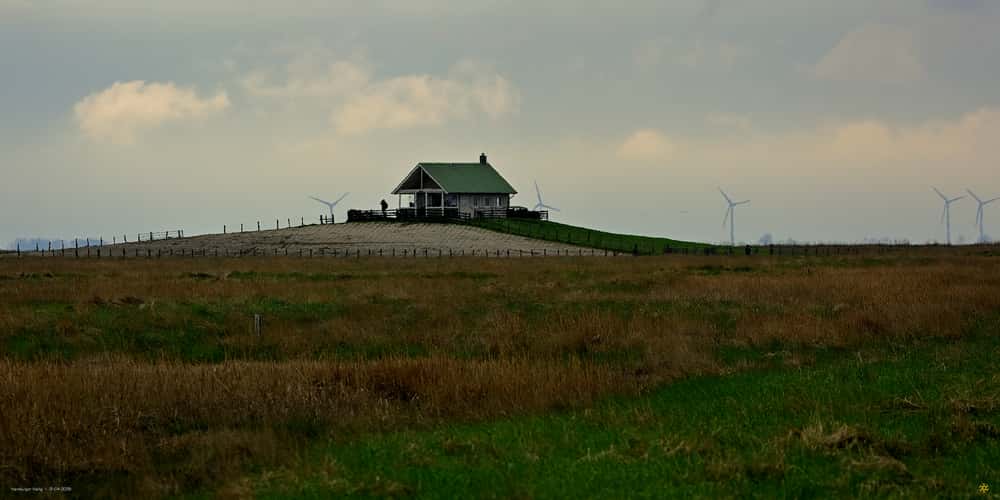 Hamburger Hallig information