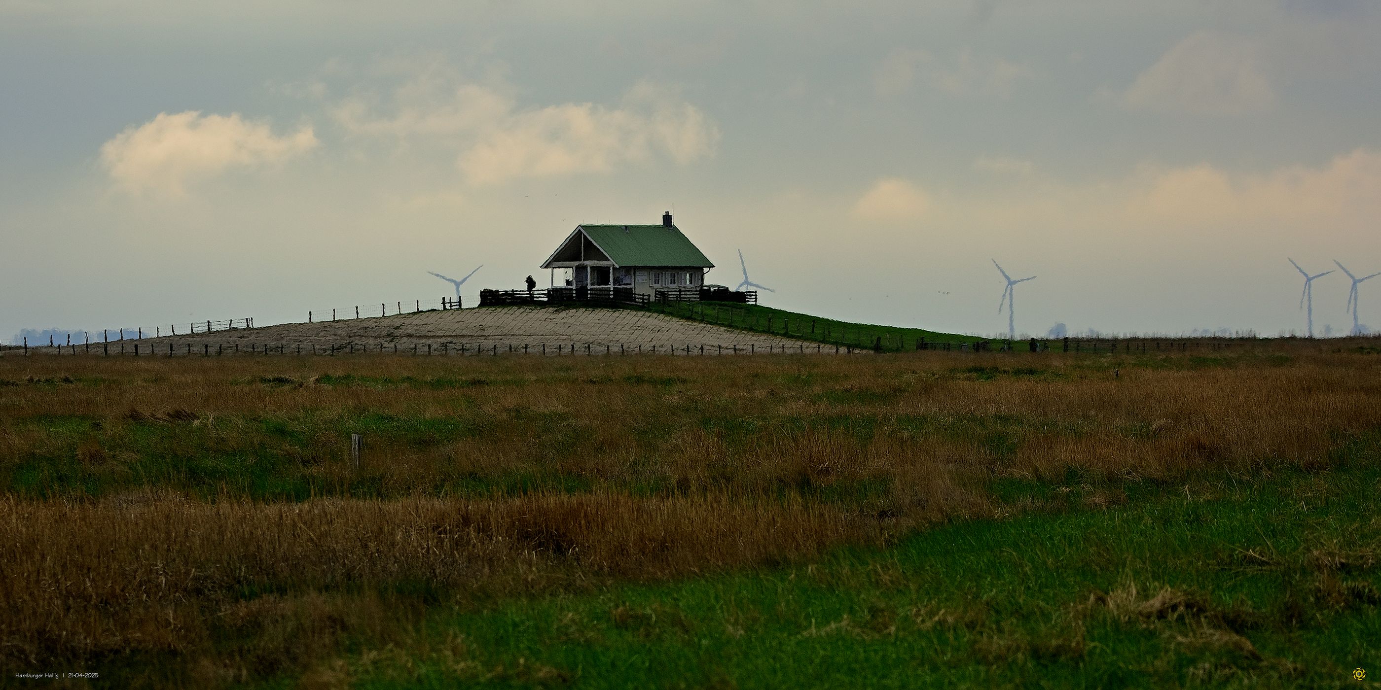 Hamburger Hallig information, Germany