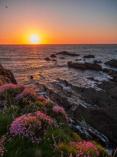 Hartland Quay