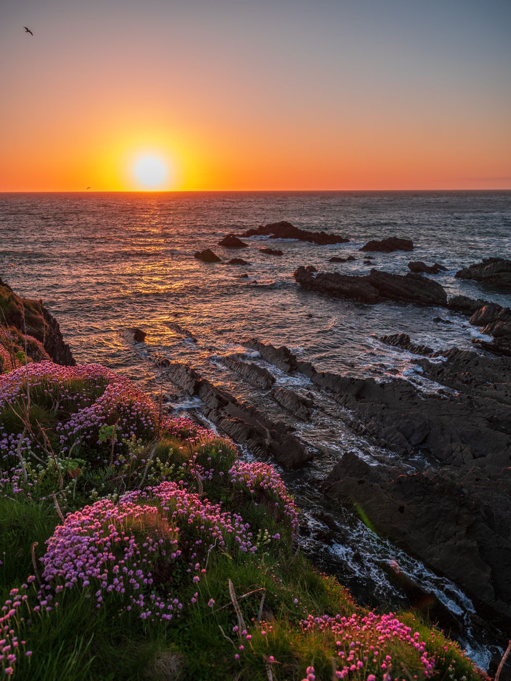 Hartland Quay, United Kingdom