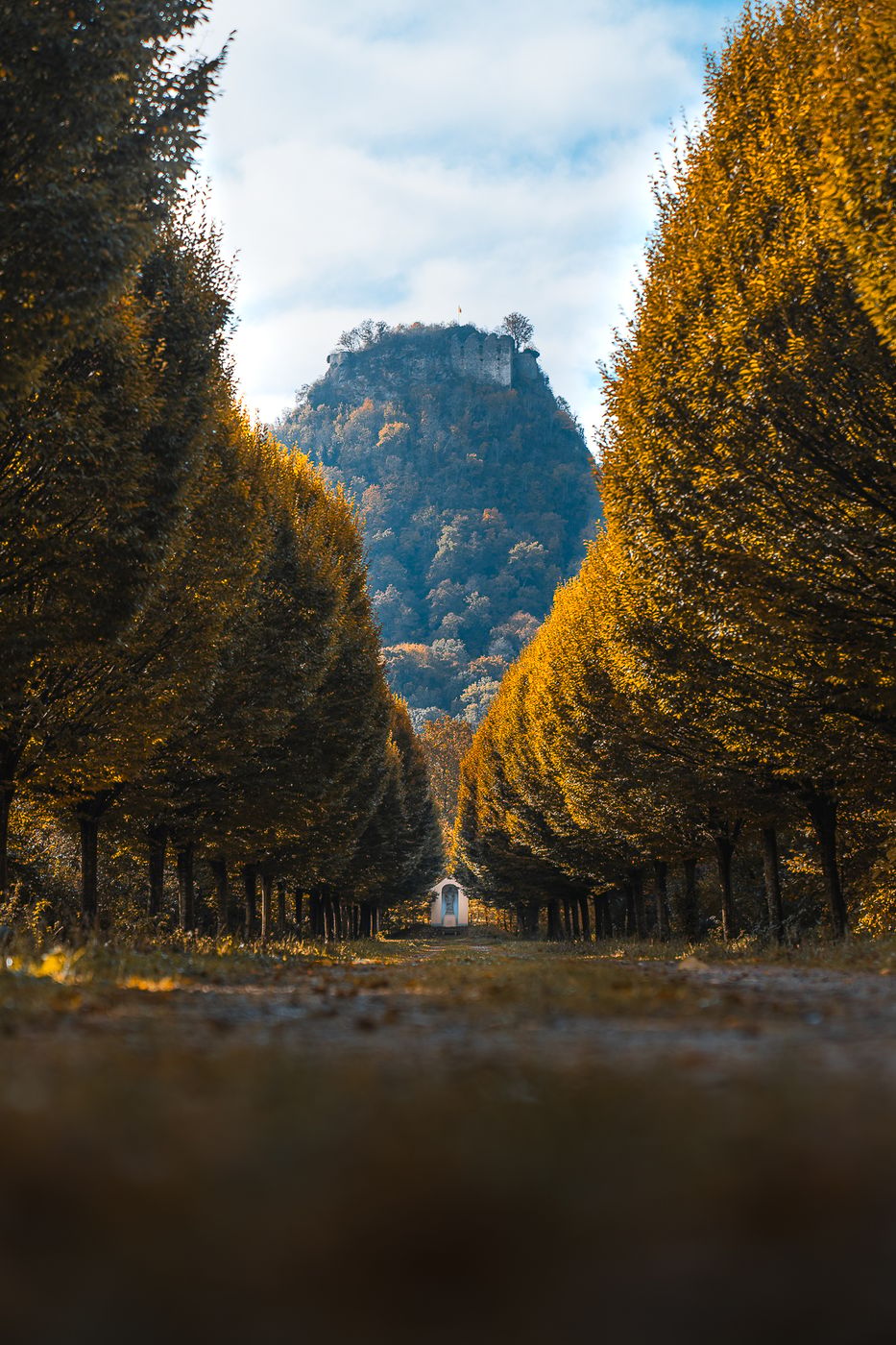 Hohenkrähn Alley Viewpoint, Germany