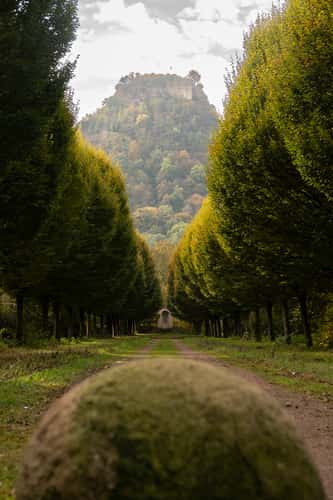 Hohenkrähn Alley Viewpoint