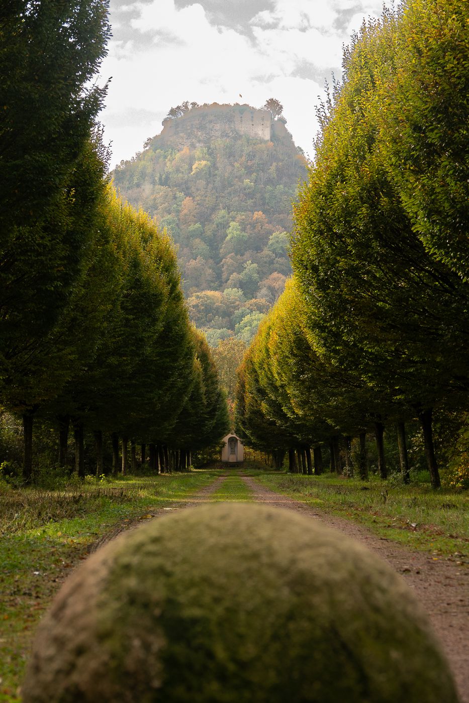 Hohenkrähn Alley Viewpoint, Germany