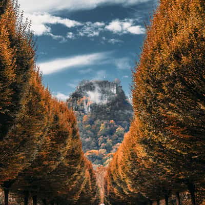 Hohenkrähn Alley Viewpoint, Germany