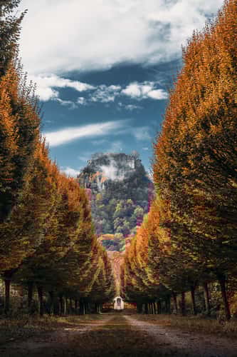 Hohenkrähn Alley Viewpoint