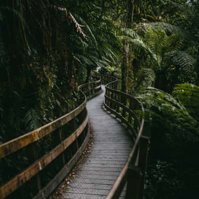 Hokitika Gorge walkway, New Zealand