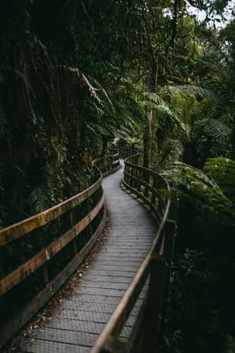 Hokitika Gorge walkway