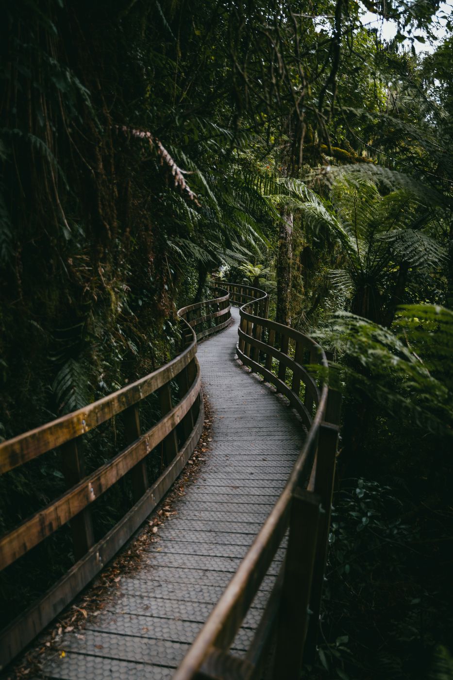 Hokitika Gorge walkway, New Zealand