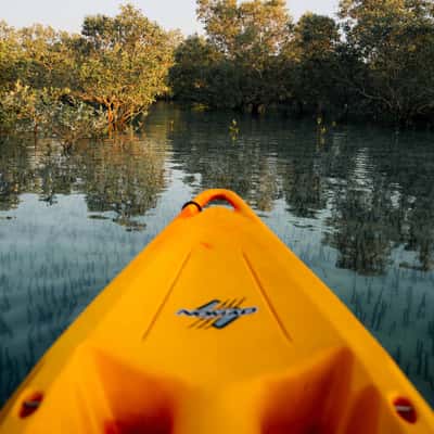 Jobail Mangrove Park, United Arab Emirates