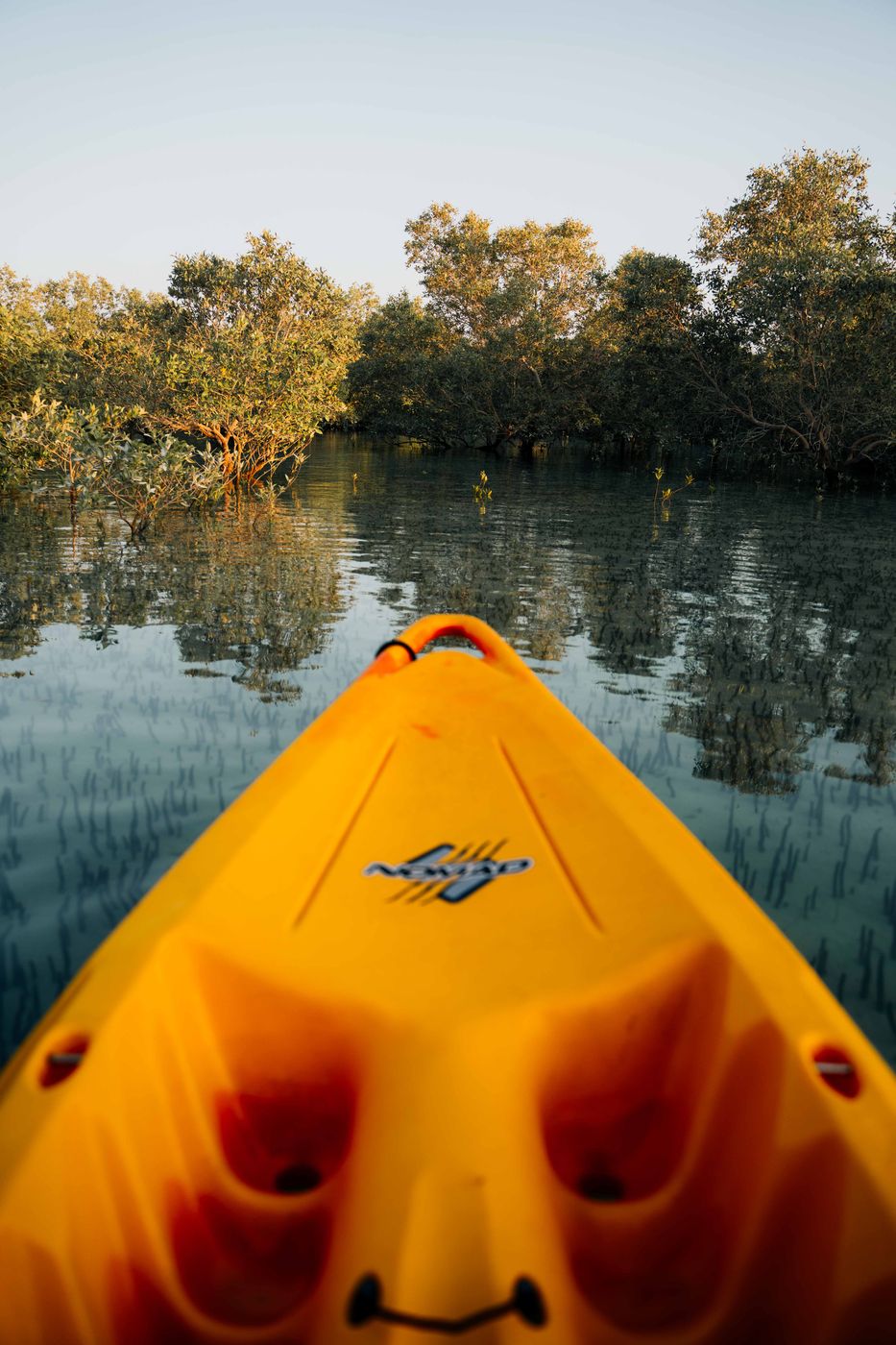 Jobail Mangrove Park, United Arab Emirates