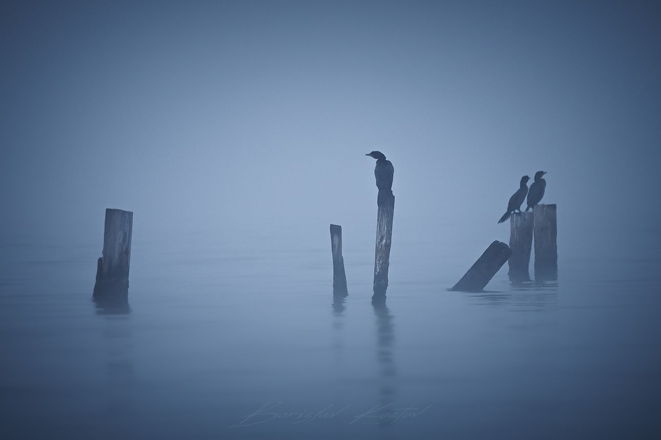 Kazashko boats, Bulgaria