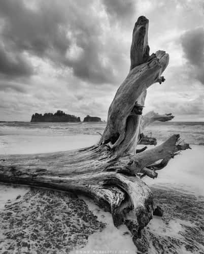La Push, Rialto Beach