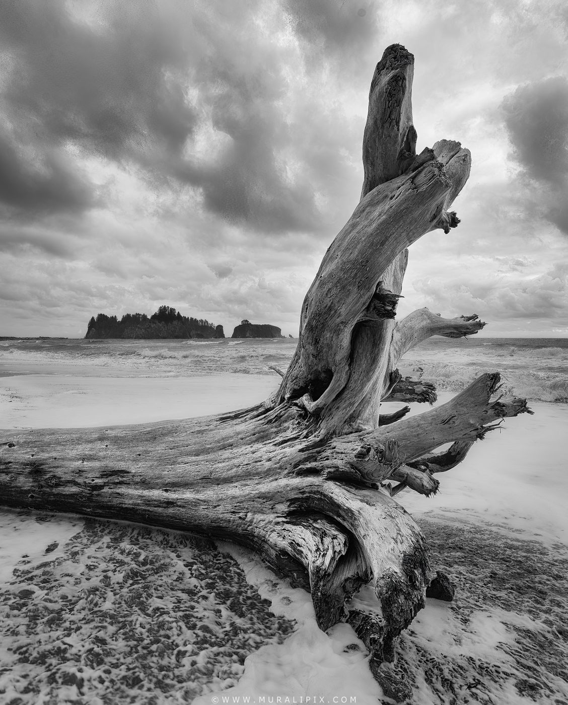 La Push, Rialto Beach, USA