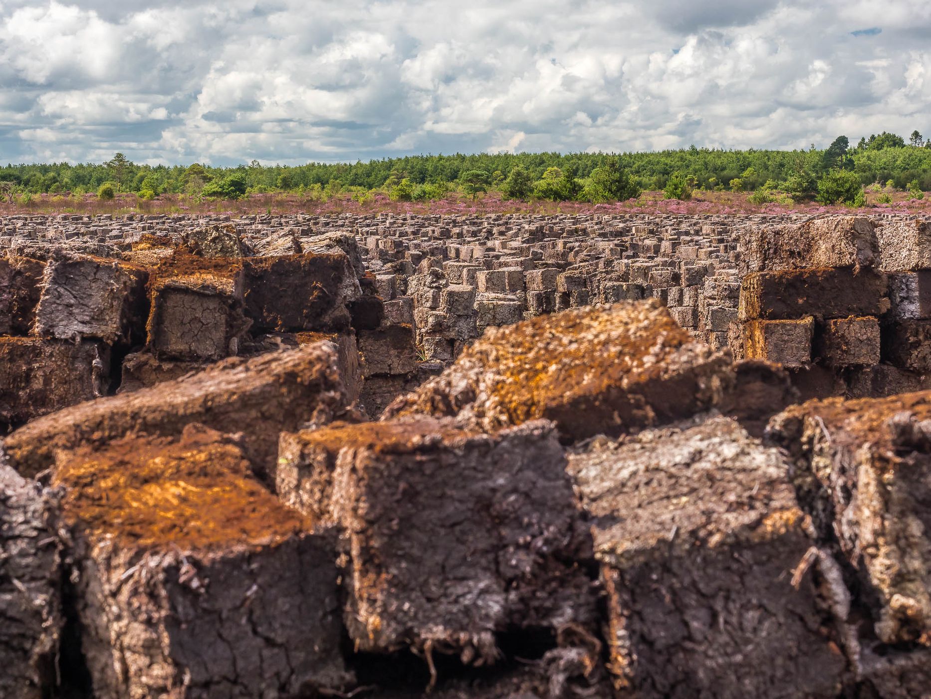 Lackagh Beg Peat Bog, Ireland