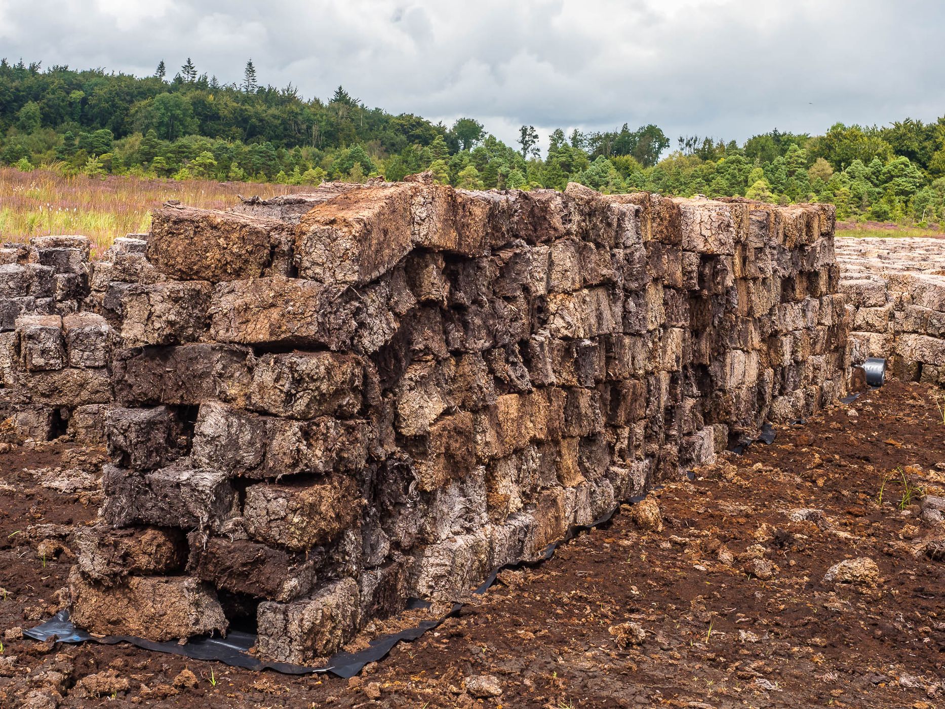 Lackagh Beg Peat Bog, Ireland