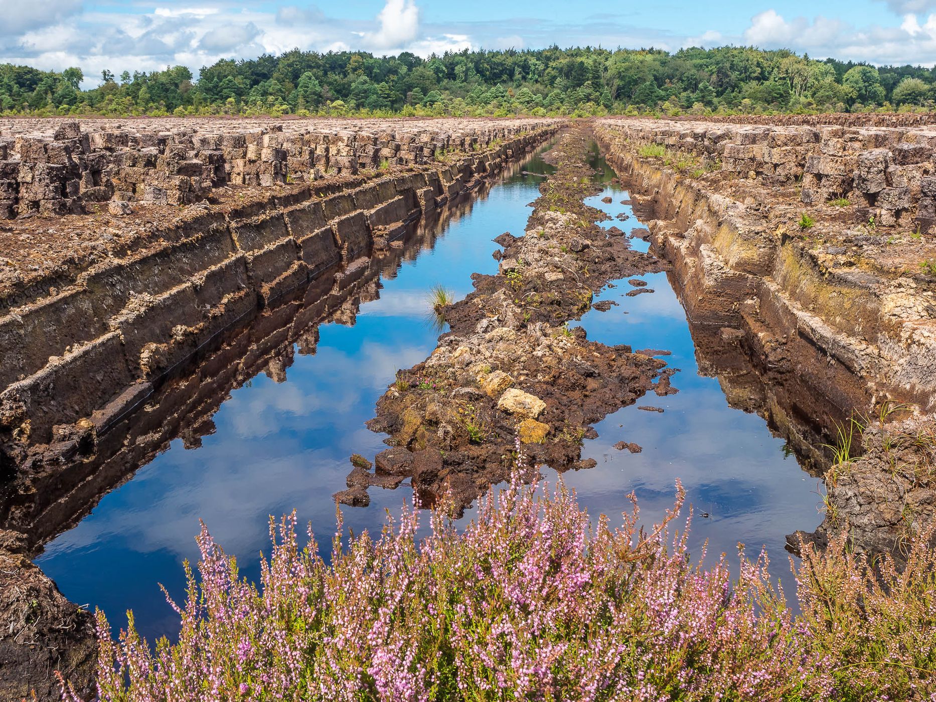 Lackagh Beg Peat Bog, Ireland