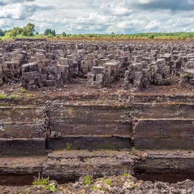 Lackagh Beg Peat Bog, Ireland