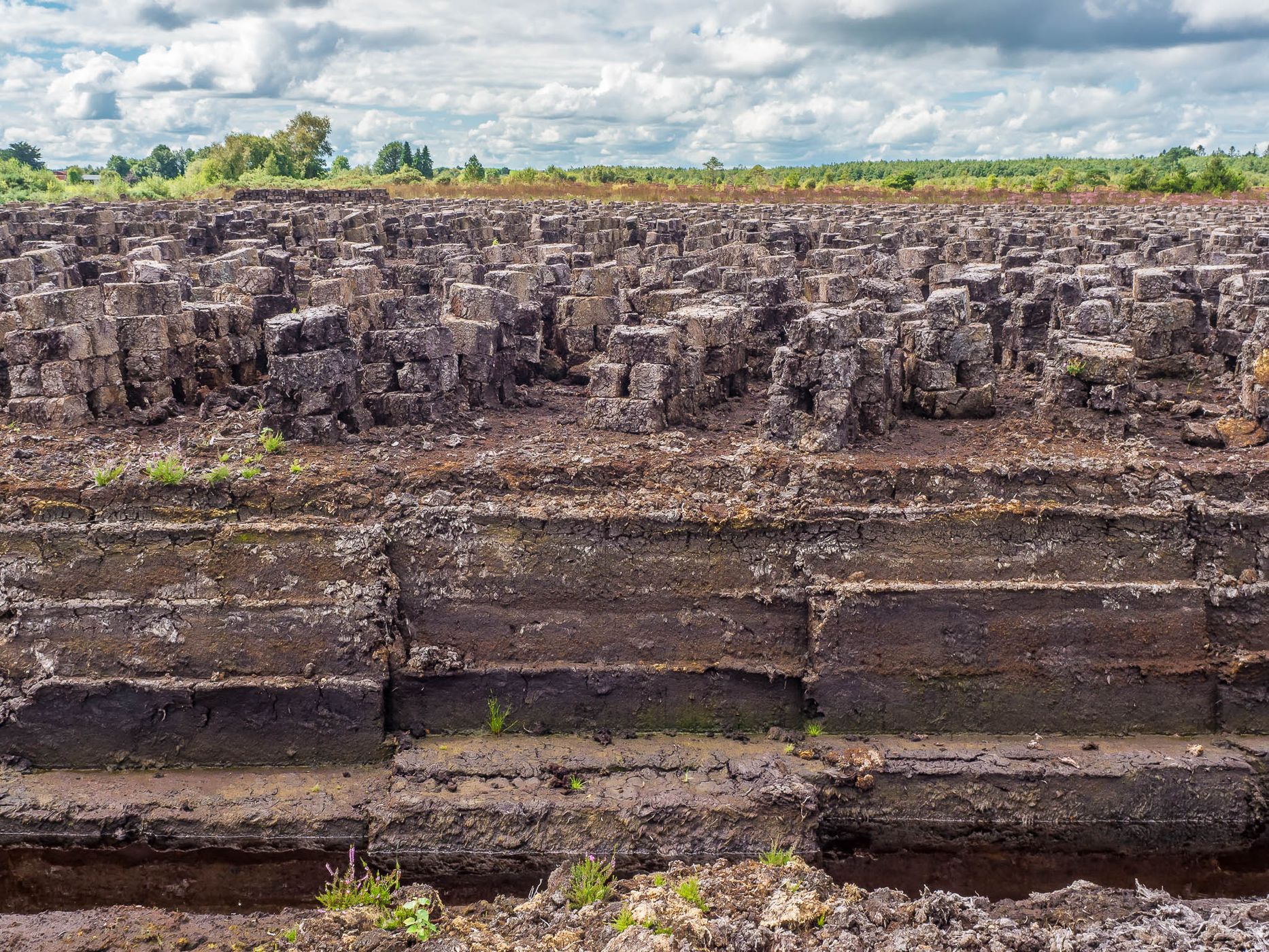 Lackagh Beg Peat Bog, Ireland