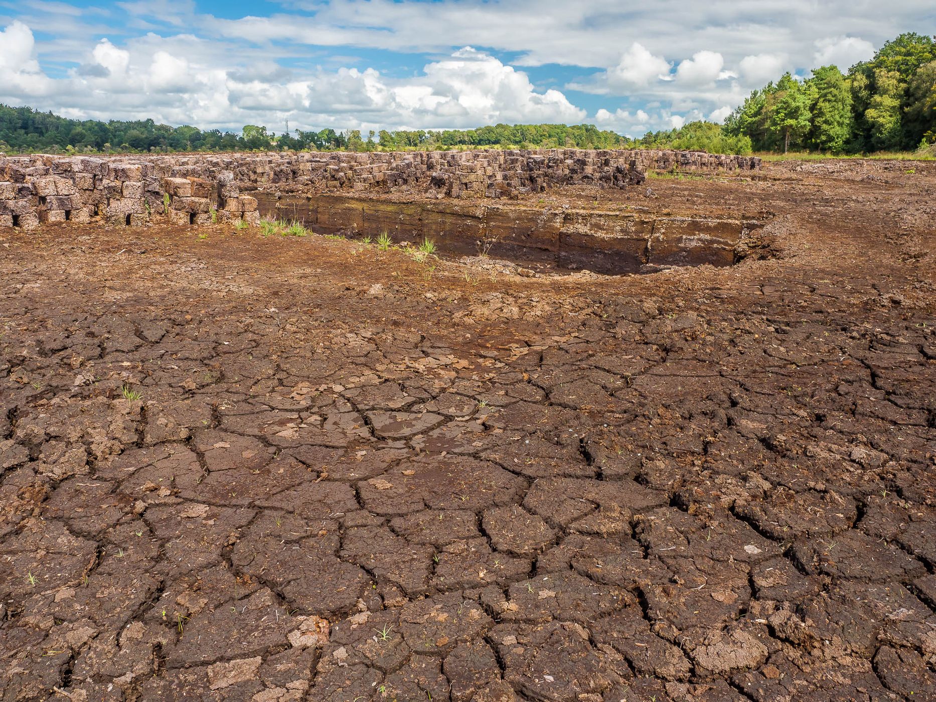 Lackagh Beg Peat Bog, Ireland