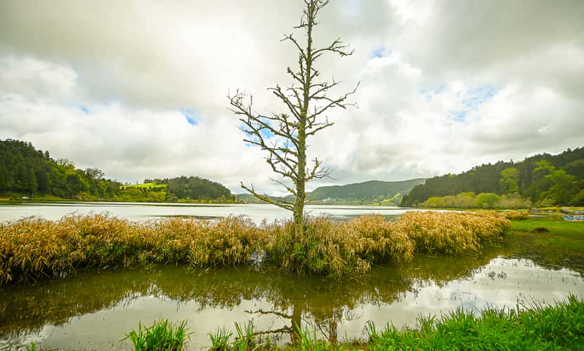 Lagoa das Furnas