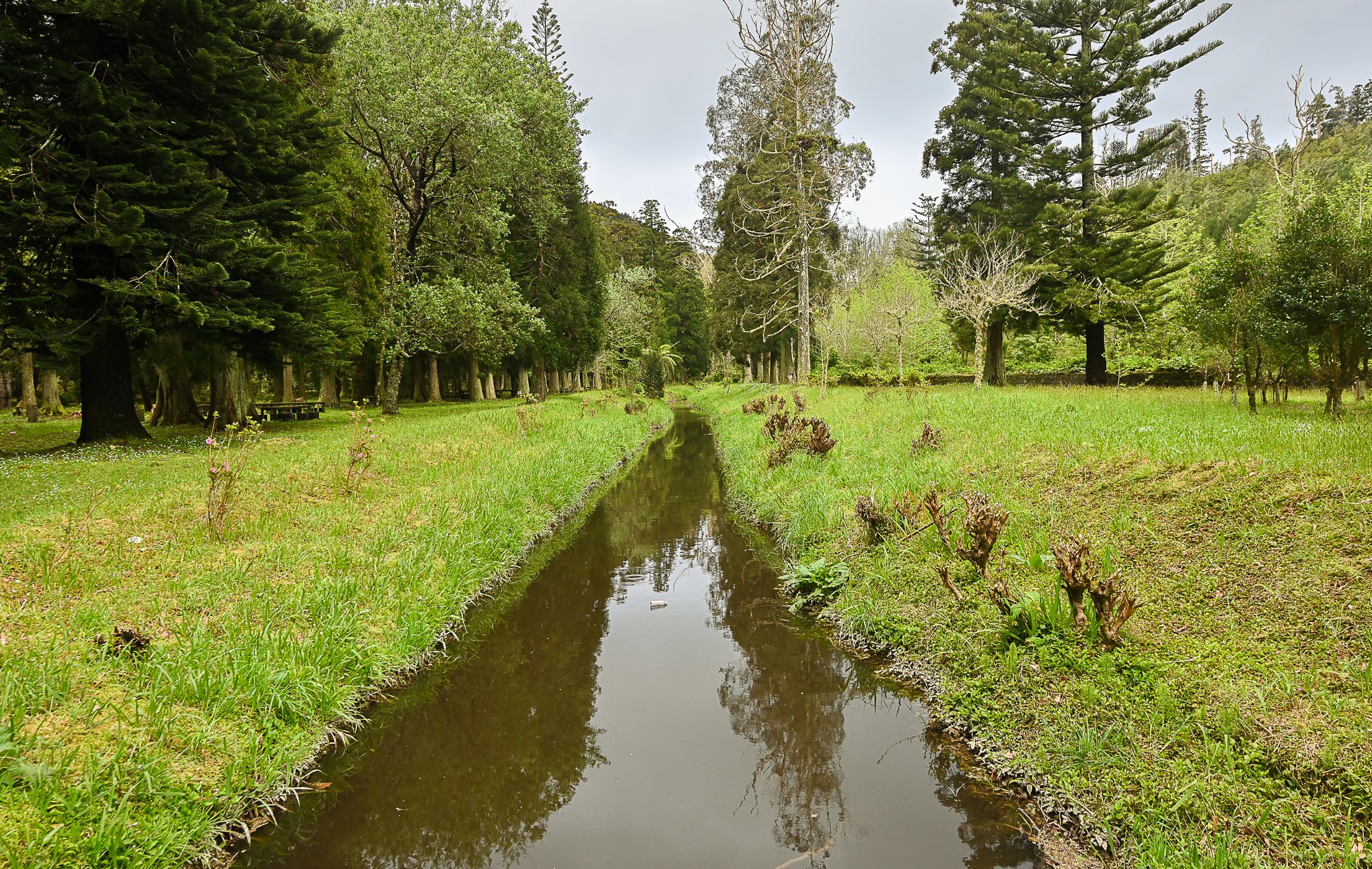 Lagoa das Furnas, Portugal