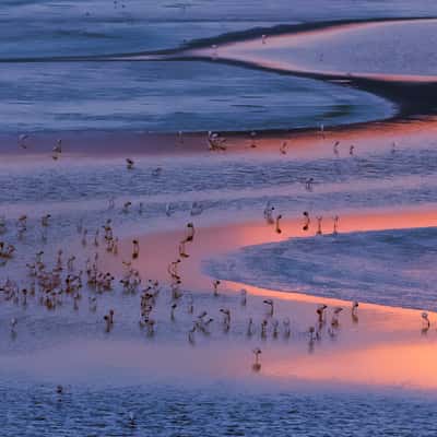 Laguna Colorada, Bolivia