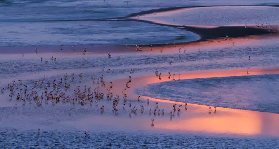 Laguna Colorada