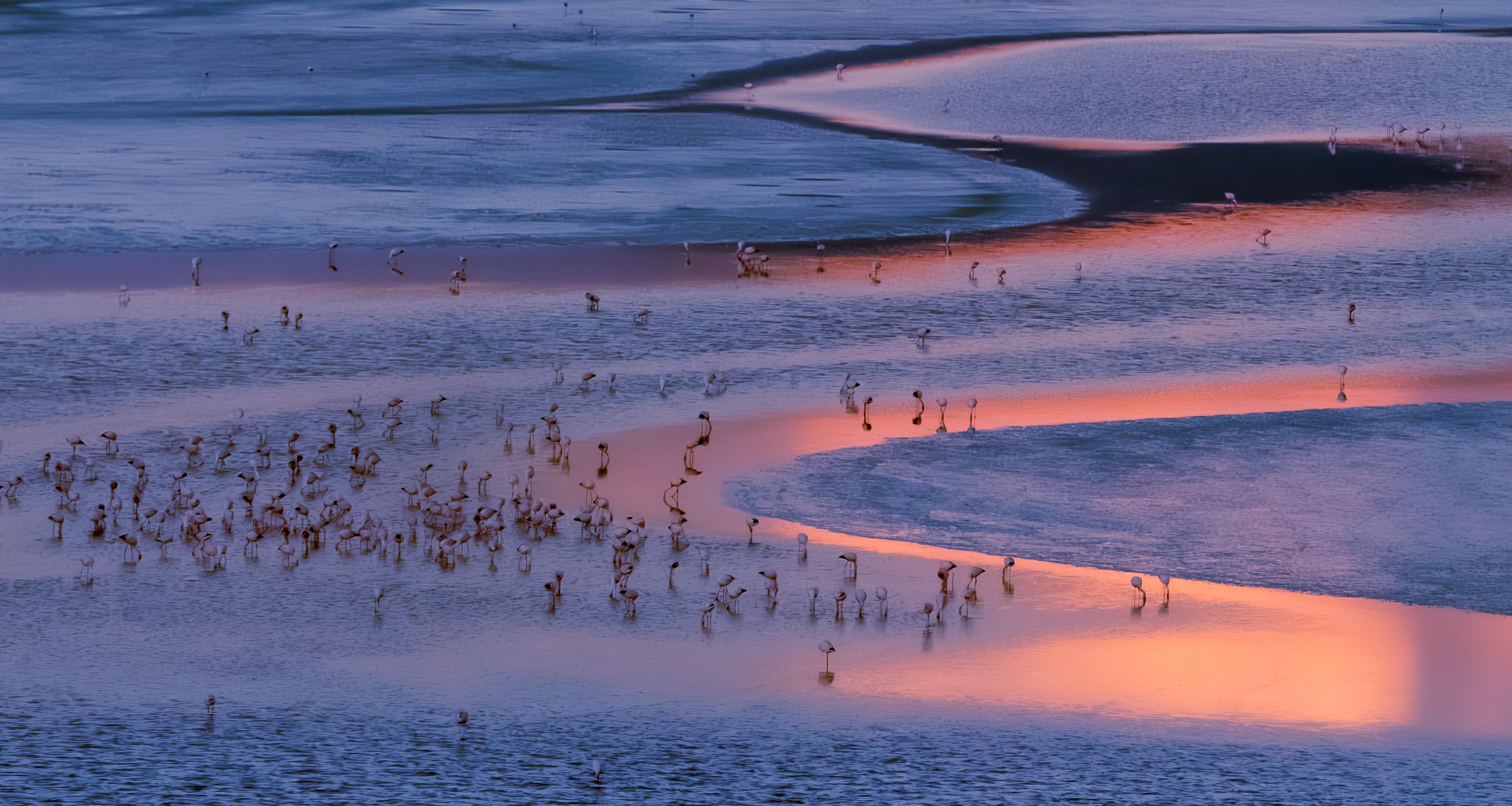 Laguna Colorada, Bolivia