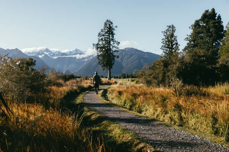 Lake Matheson Walk, Fox Glacier South