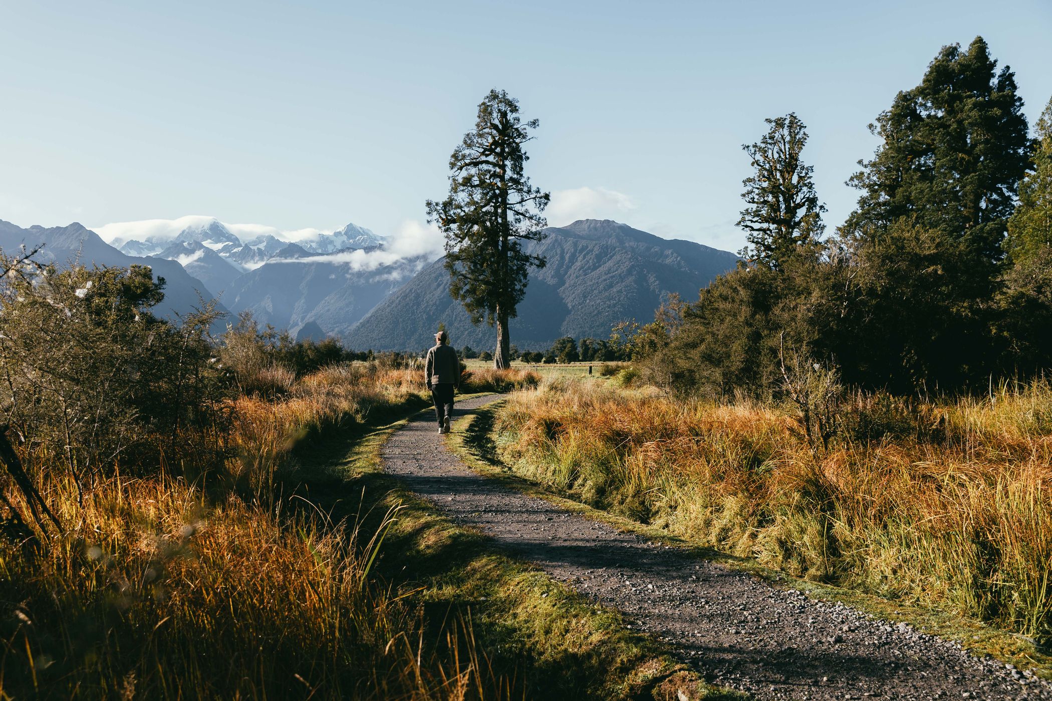 Lake Matheson Walk, Fox Glacier South, New Zealand