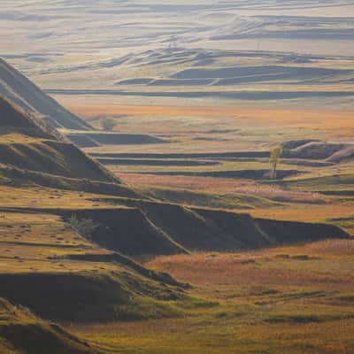 Landscape around Oboda locality, Russian Federation