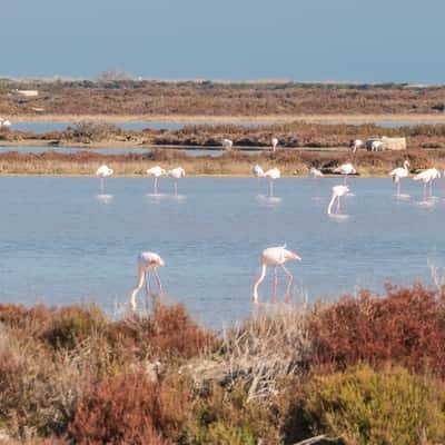 Llacuna de la Tancada, Spain