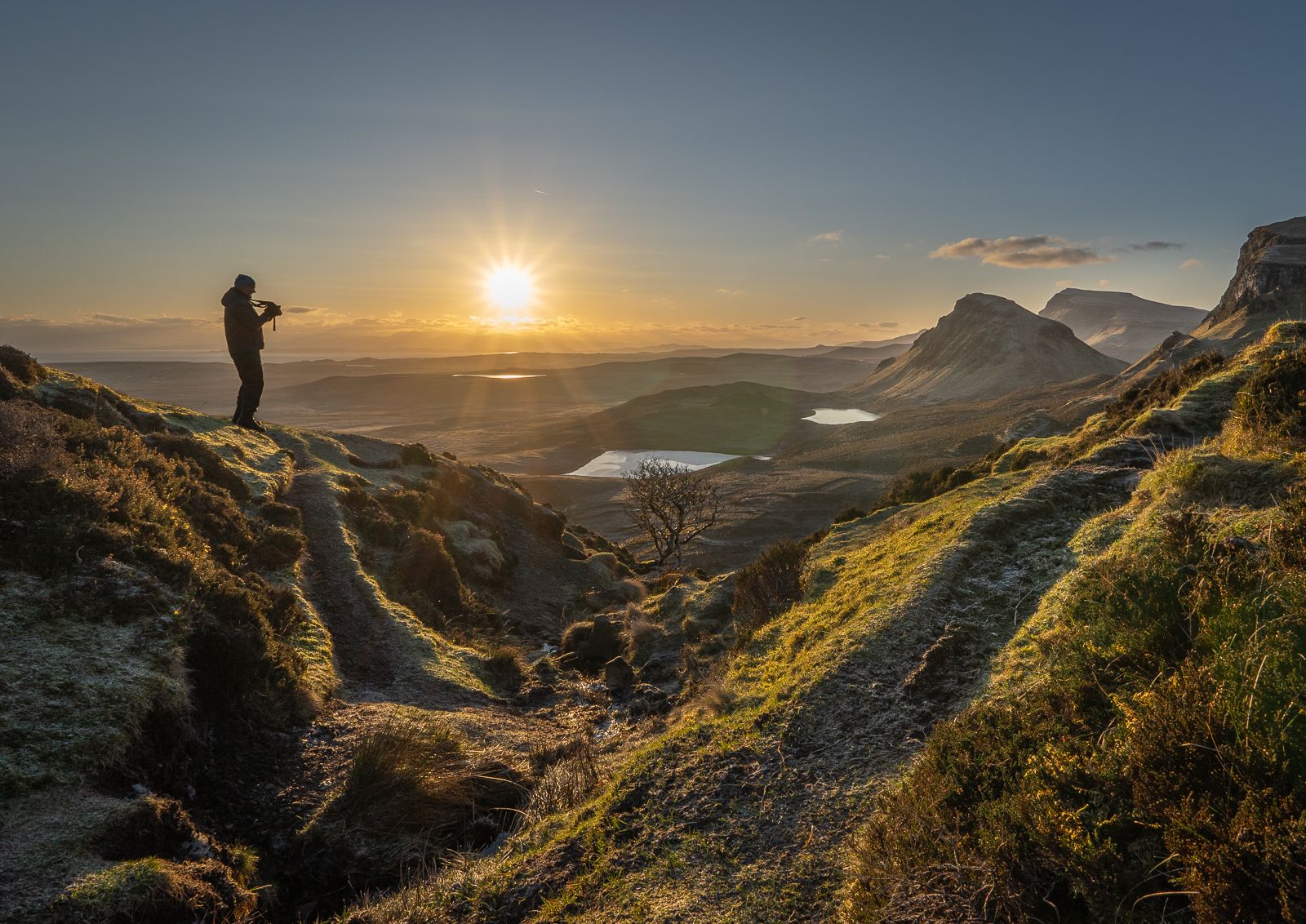 Lonely Tree at Quiraing, United Kingdom