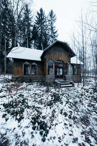 Lost Cabin in the Woods