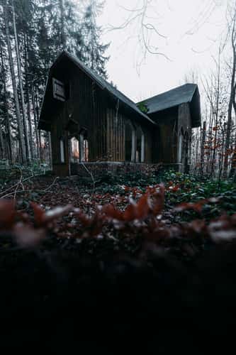 Lost Cabin in the Woods