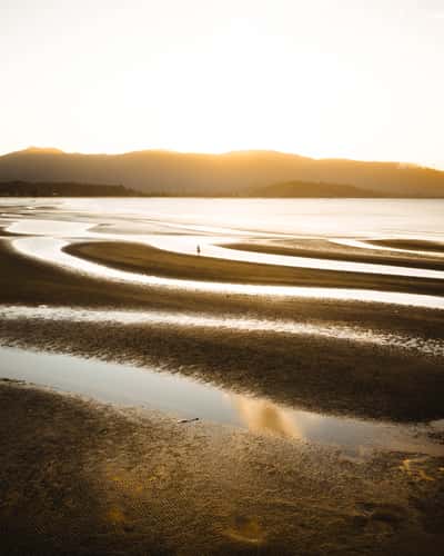Low tide shapes along the Abel Tasman Drive