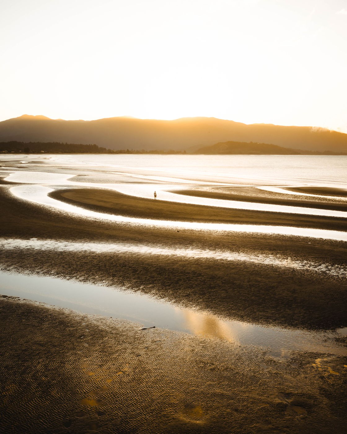 Low tide shapes along the Abel Tasman Drive, New Zealand