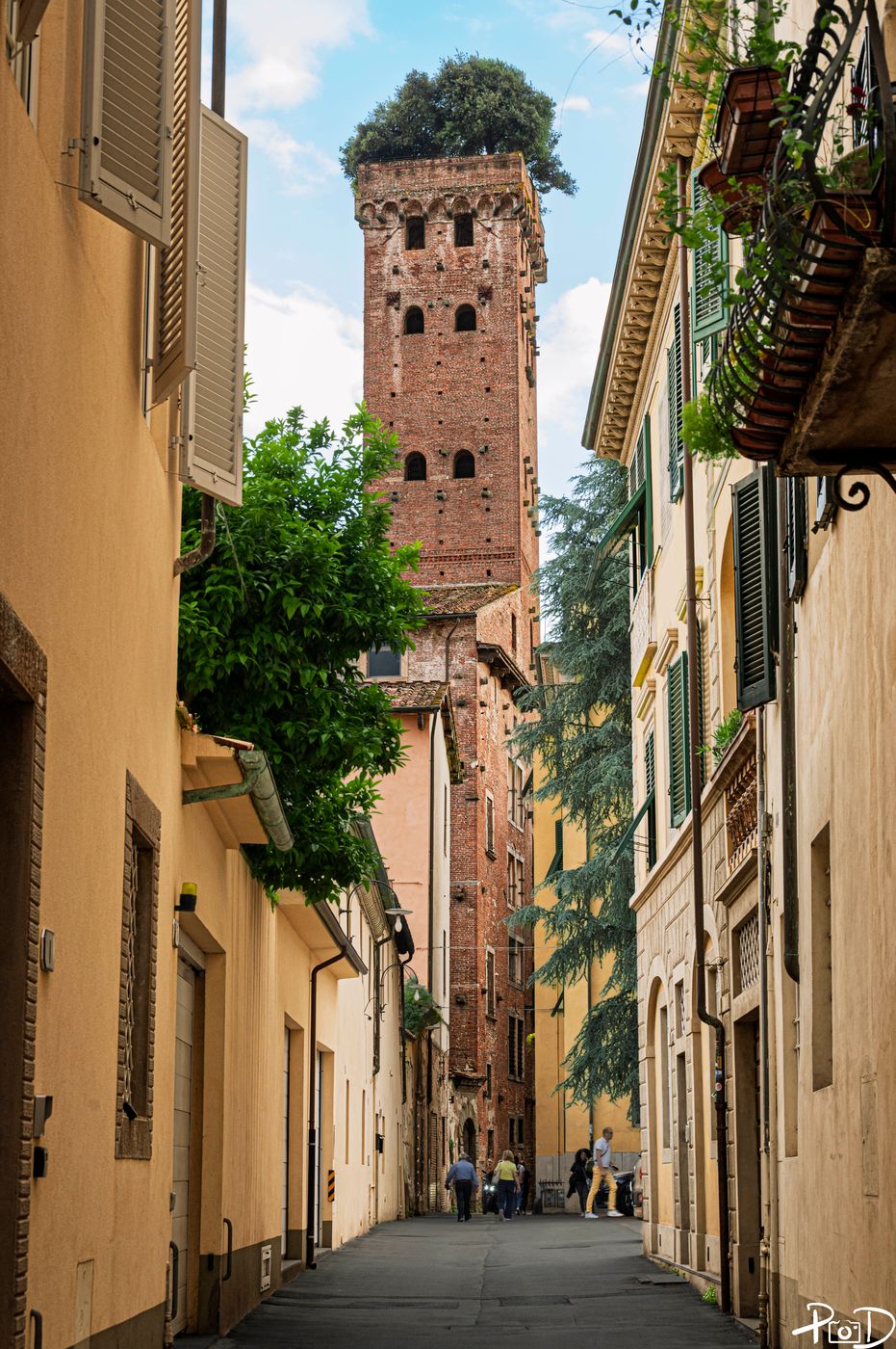 Lucca overlook, Italy