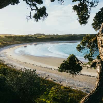 Maitai Bay, Northland, New Zealand